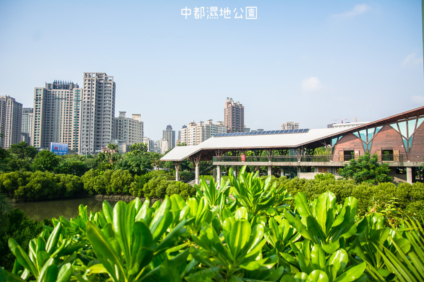 ｜高雄景點｜中都濕地公園，隱身在都市裡的濕地，這裡也有一個龍貓小隧道 - 阿婷的旅行札記。