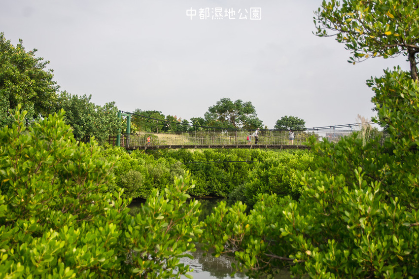 ｜高雄景點｜中都濕地公園，隱身在都市裡的濕地，這裡也有一個龍貓小隧道 - 阿婷的旅行札記。