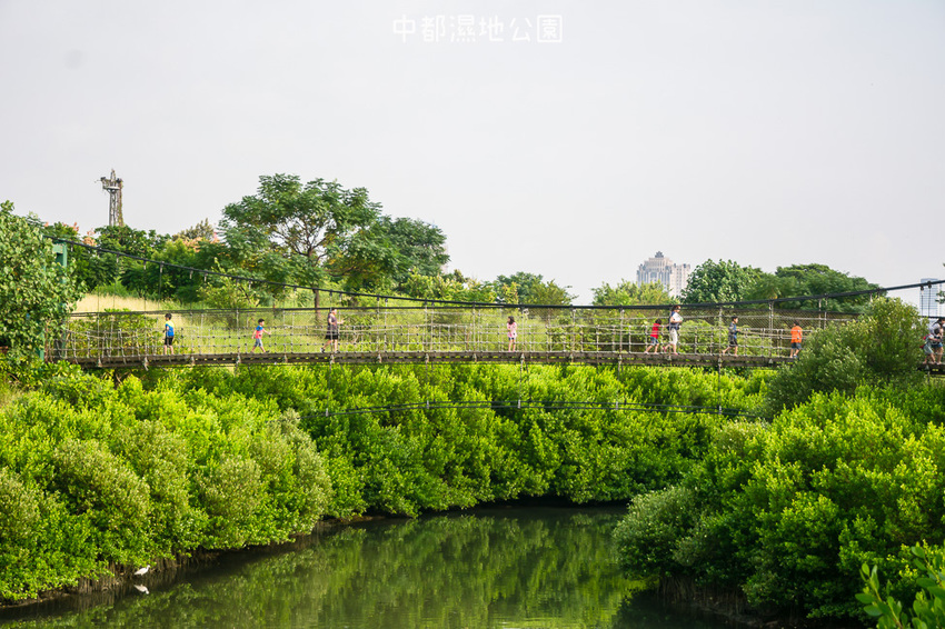 ｜高雄景點｜中都濕地公園，隱身在都市裡的濕地，這裡也有一個龍貓小隧道 - 阿婷的旅行札記。