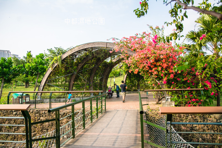 ｜高雄景點｜中都濕地公園，隱身在都市裡的濕地，這裡也有一個龍貓小隧道 - 阿婷的旅行札記。