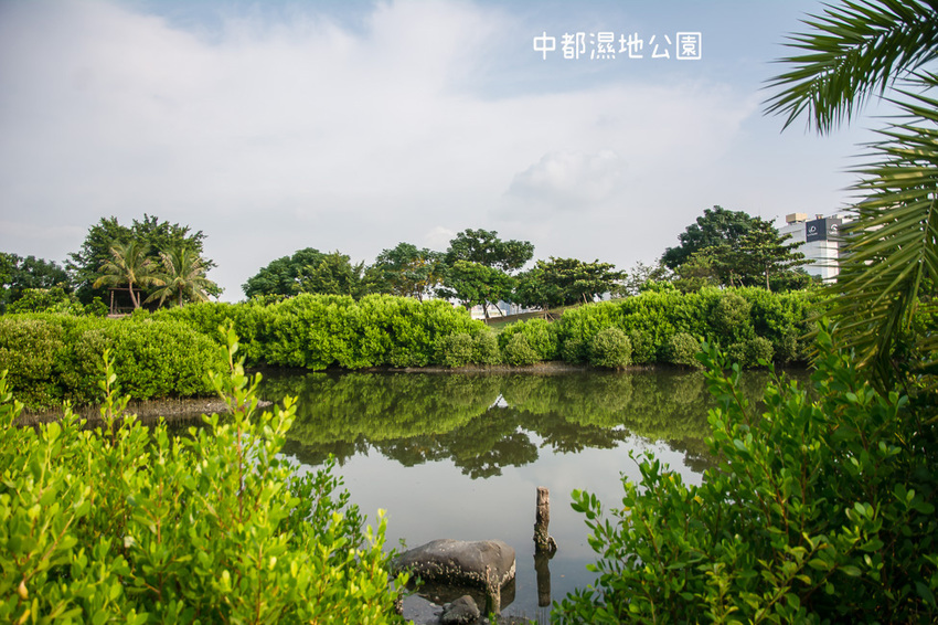 ｜高雄景點｜中都濕地公園，隱身在都市裡的濕地，這裡也有一個龍貓小隧道 - 阿婷的旅行札記。
