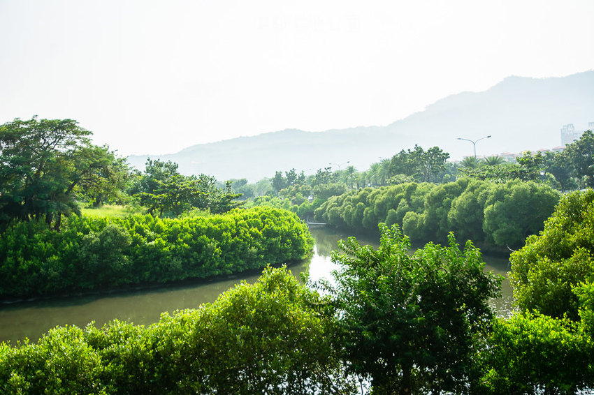 ｜高雄景點｜中都濕地公園，隱身在都市裡的濕地，這裡也有一個龍貓小隧道 - 阿婷的旅行札記。