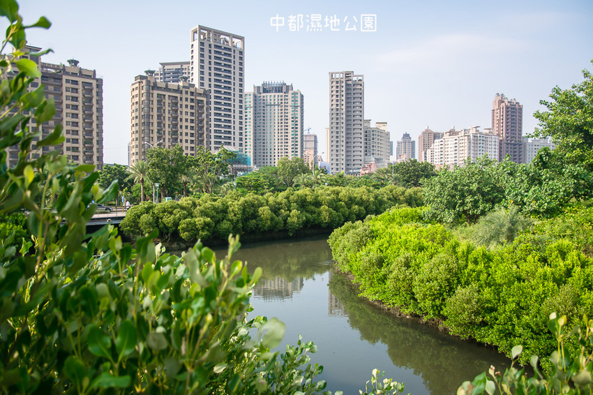 ｜高雄景點｜中都濕地公園，隱身在都市裡的濕地，這裡也有一個龍貓小隧道 - 阿婷的旅行札記。