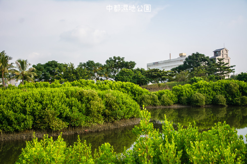 ｜高雄景點｜中都濕地公園，隱身在都市裡的濕地，這裡也有一個龍貓小隧道 - 阿婷的旅行札記。