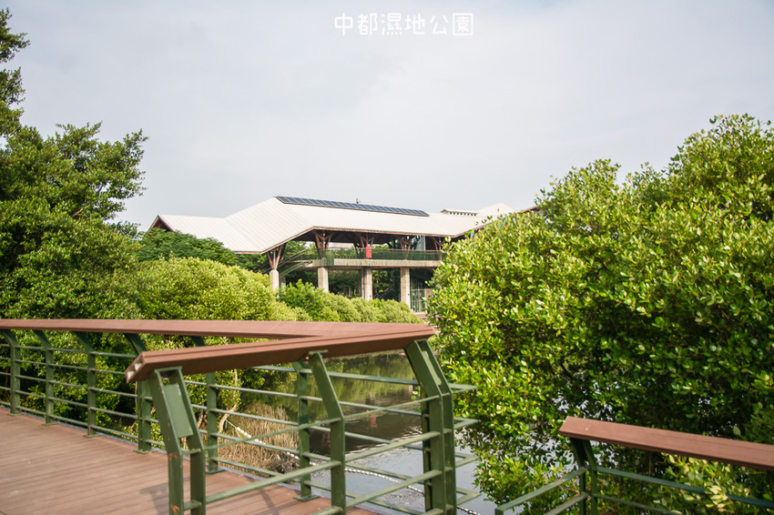 ｜高雄景點｜中都濕地公園，隱身在都市裡的濕地，這裡也有一個龍貓小隧道 - 阿婷的旅行札記。