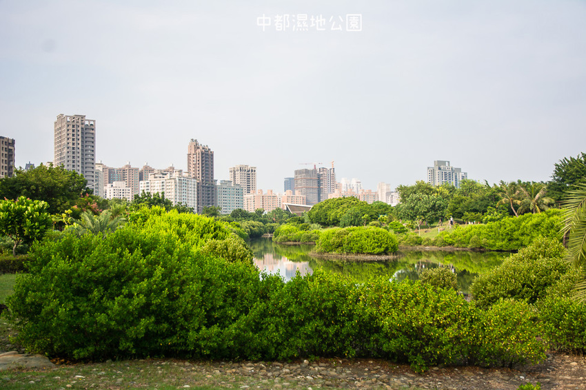 ｜高雄景點｜中都濕地公園，隱身在都市裡的濕地，這裡也有一個龍貓小隧道 - 阿婷的旅行札記。
