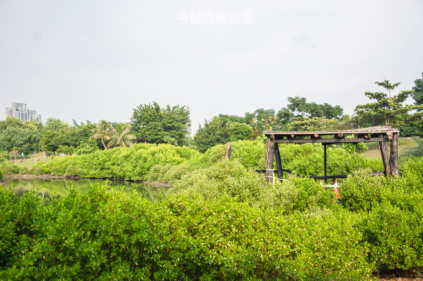 ｜高雄景點｜中都濕地公園，隱身在都市裡的濕地，這裡也有一個龍貓小隧道 - 阿婷的旅行札記。