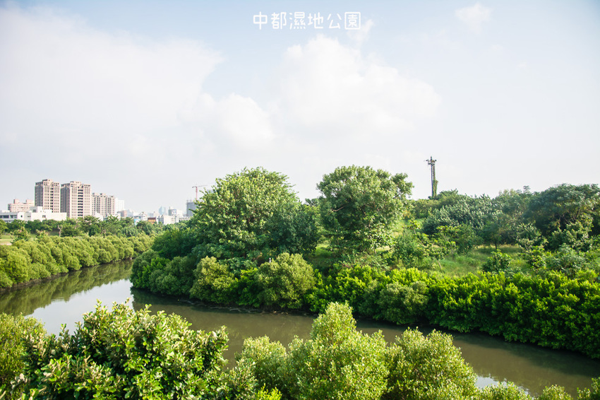 ｜高雄景點｜中都濕地公園，隱身在都市裡的濕地，這裡也有一個龍貓小隧道 - 阿婷的旅行札記。