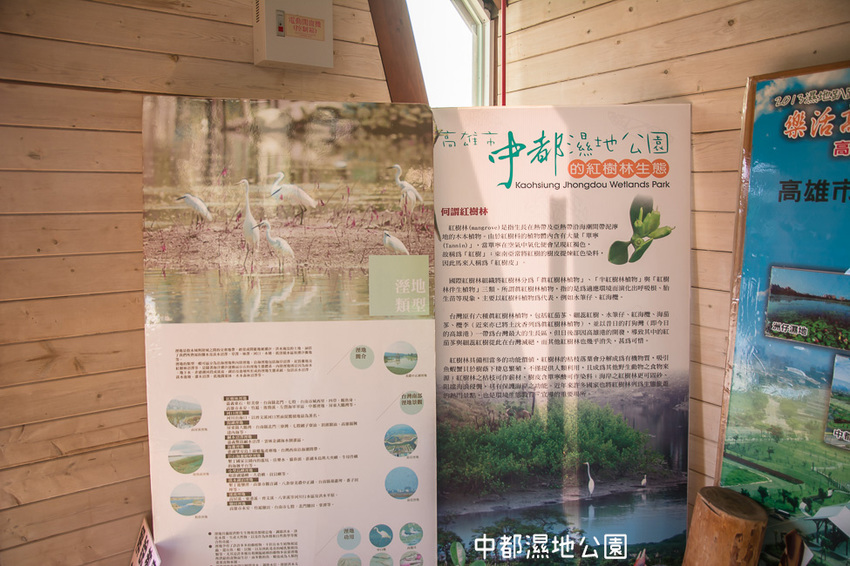 ｜高雄景點｜中都濕地公園，隱身在都市裡的濕地，這裡也有一個龍貓小隧道 - 阿婷的旅行札記。