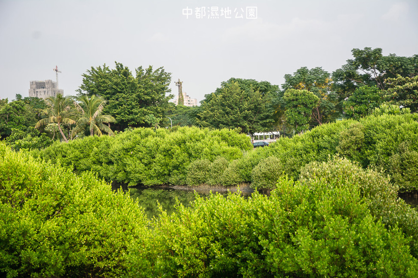 ｜高雄景點｜中都濕地公園，隱身在都市裡的濕地，這裡也有一個龍貓小隧道 - 阿婷的旅行札記。