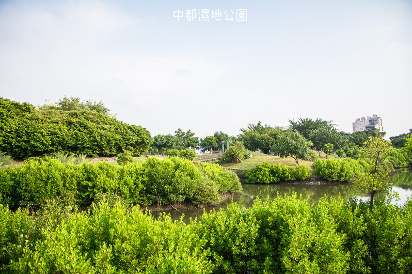 ｜高雄景點｜中都濕地公園，隱身在都市裡的濕地，這裡也有一個龍貓小隧道 - 阿婷的旅行札記。