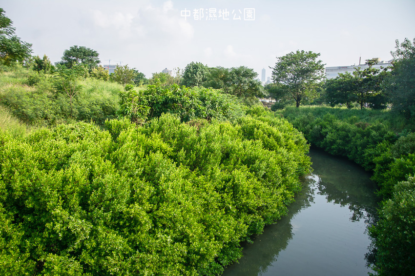 ｜高雄景點｜中都濕地公園，隱身在都市裡的濕地，這裡也有一個龍貓小隧道 - 阿婷的旅行札記。