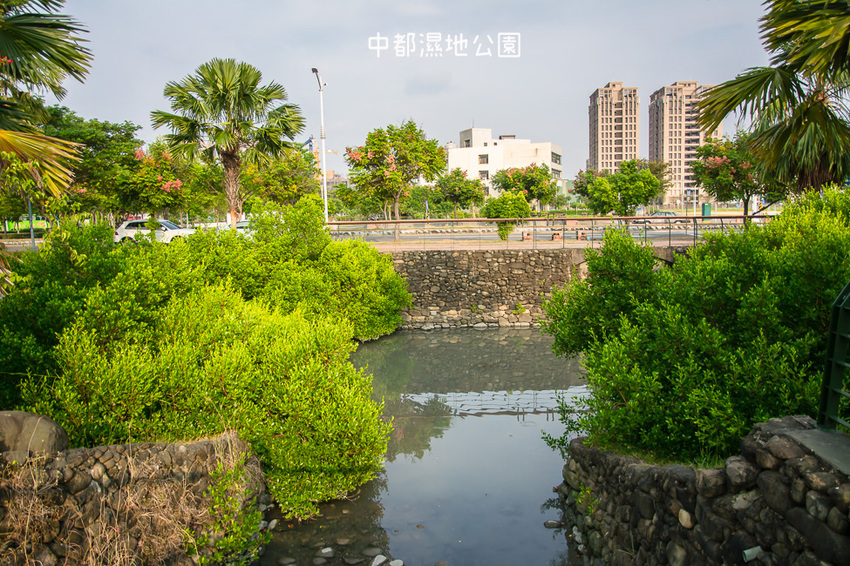 ｜高雄景點｜中都濕地公園，隱身在都市裡的濕地，這裡也有一個龍貓小隧道 - 阿婷的旅行札記。