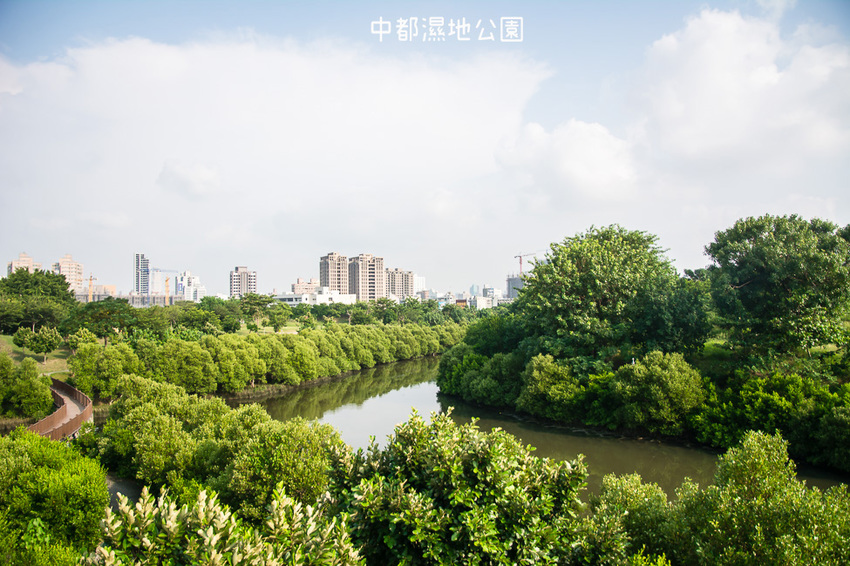 ｜高雄景點｜中都濕地公園，隱身在都市裡的濕地，這裡也有一個龍貓小隧道 - 阿婷的旅行札記。