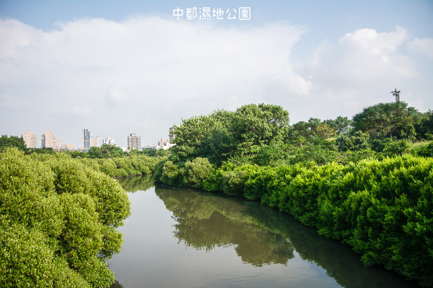 ｜高雄景點｜中都濕地公園，隱身在都市裡的濕地，這裡也有一個龍貓小隧道 - 阿婷的旅行札記。