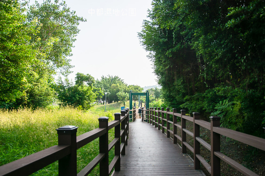 ｜高雄景點｜中都濕地公園，隱身在都市裡的濕地，這裡也有一個龍貓小隧道 - 阿婷的旅行札記。