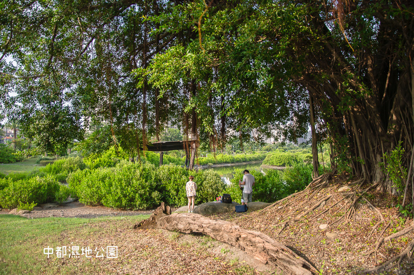 ｜高雄景點｜中都濕地公園，隱身在都市裡的濕地，這裡也有一個龍貓小隧道 - 阿婷的旅行札記。