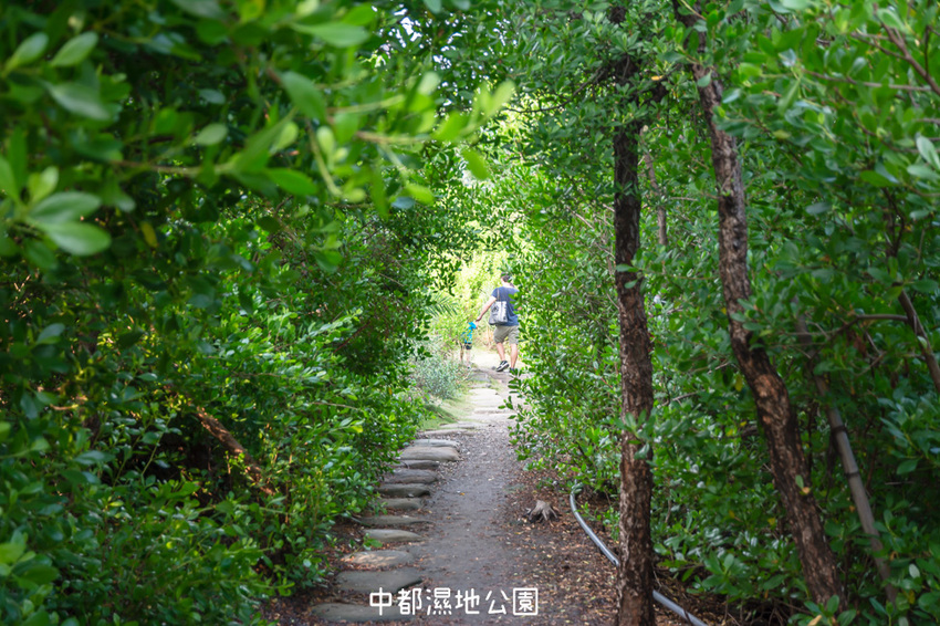 ｜高雄景點｜中都濕地公園，隱身在都市裡的濕地，這裡也有一個龍貓小隧道 - 阿婷的旅行札記。