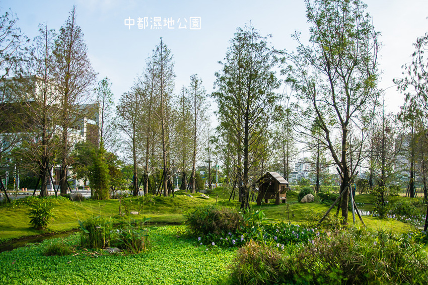 ｜高雄景點｜中都濕地公園，隱身在都市裡的濕地，這裡也有一個龍貓小隧道 - 阿婷的旅行札記。