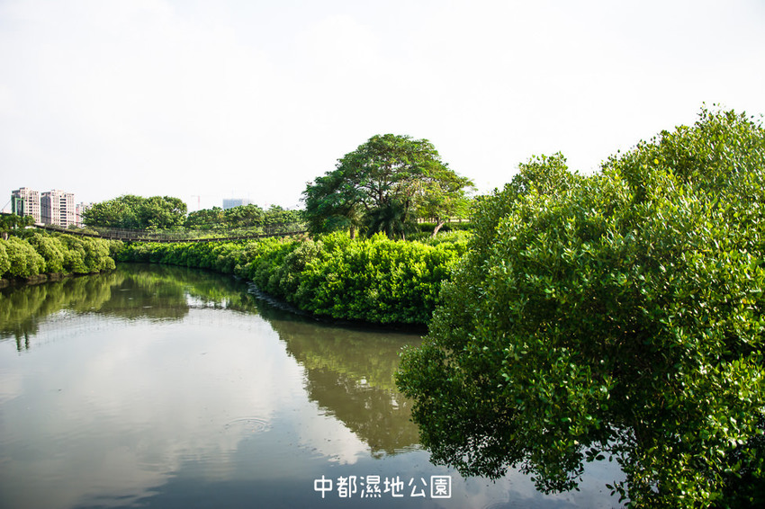 ｜高雄景點｜中都濕地公園，隱身在都市裡的濕地，這裡也有一個龍貓小隧道 - 阿婷的旅行札記。