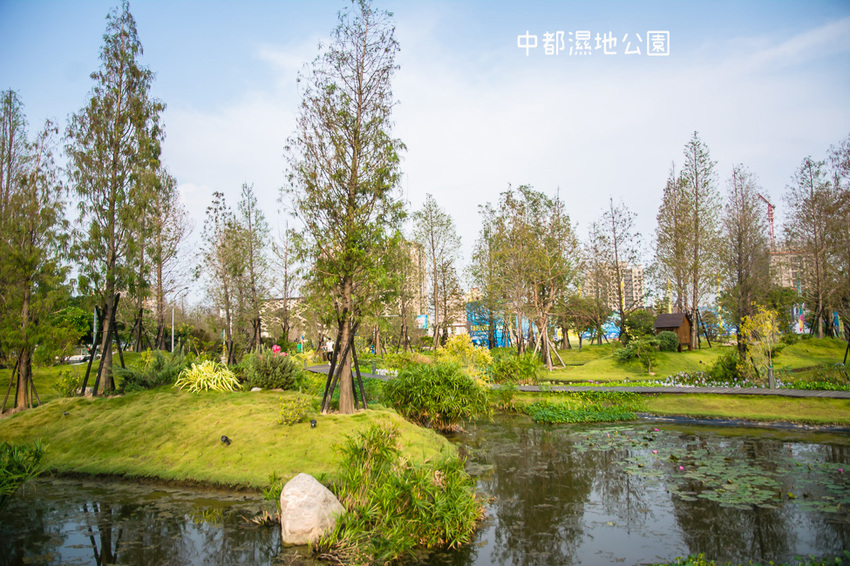 ｜高雄景點｜中都濕地公園，隱身在都市裡的濕地，這裡也有一個龍貓小隧道 - 阿婷的旅行札記。