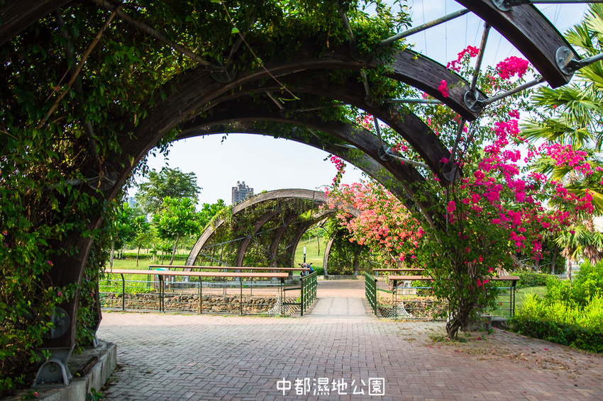 ｜高雄景點｜中都濕地公園，隱身在都市裡的濕地，這裡也有一個龍貓小隧道 - 阿婷的旅行札記。