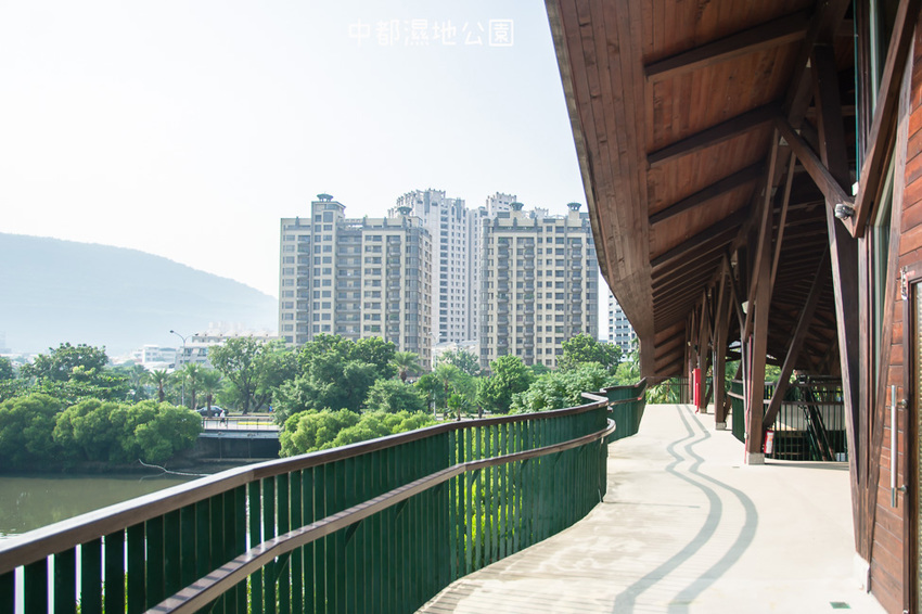 ｜高雄景點｜中都濕地公園，隱身在都市裡的濕地，這裡也有一個龍貓小隧道 - 阿婷的旅行札記。