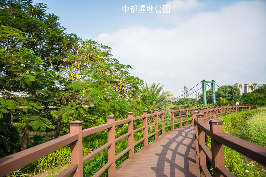 ｜高雄景點｜中都濕地公園，隱身在都市裡的濕地，這裡也有一個龍貓小隧道 - 阿婷的旅行札記。