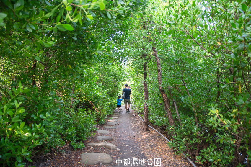 ｜高雄景點｜中都濕地公園，隱身在都市裡的濕地，這裡也有一個龍貓小隧道 - 阿婷的旅行札記。