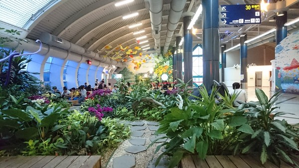 高雄小港機場:韓國跟團趣~帶小朋友出國注意事項~坐上飛機翱翔去~為生活增添精彩的回憶~ 高雄小港機場:韓國跟團趣~帶小朋友出國注意事項~坐上飛機翱翔去~為生活增添精彩的回憶~