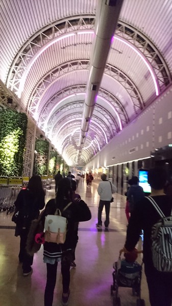 高雄小港機場:韓國跟團趣~帶小朋友出國注意事項~坐上飛機翱翔去~為生活增添精彩的回憶~ 高雄小港機場:韓國跟團趣~帶小朋友出國注意事項~坐上飛機翱翔去~為生活增添精彩的回憶~