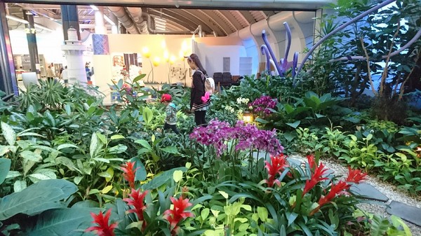 高雄小港機場:韓國跟團趣~帶小朋友出國注意事項~坐上飛機翱翔去~為生活增添精彩的回憶~ 高雄小港機場:韓國跟團趣~帶小朋友出國注意事項~坐上飛機翱翔去~為生活增添精彩的回憶~