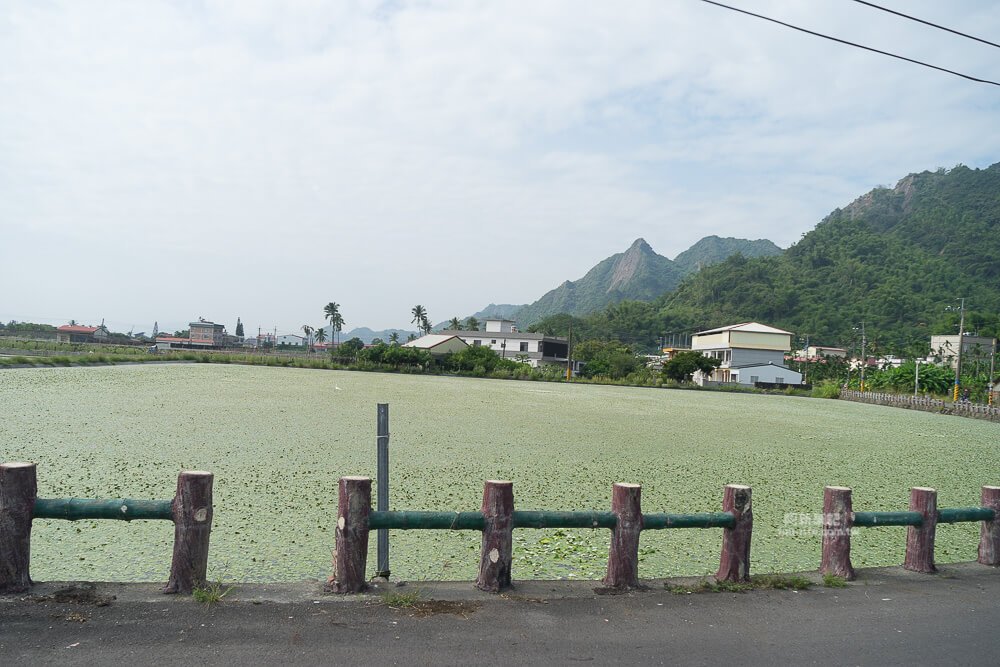高雄美濃旗山一日遊-27