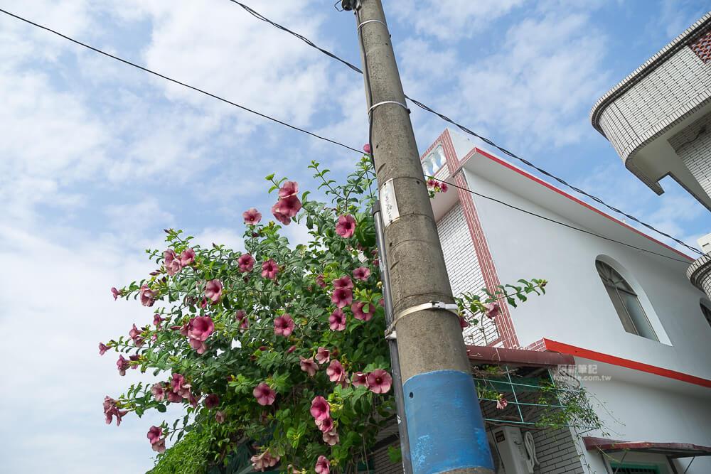 高雄美濃旗山一日遊-25