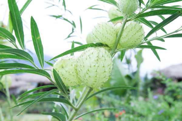 YuYuPas 優遊吧斯 - 22