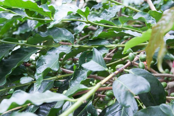 YuYuPas 優遊吧斯 - 5