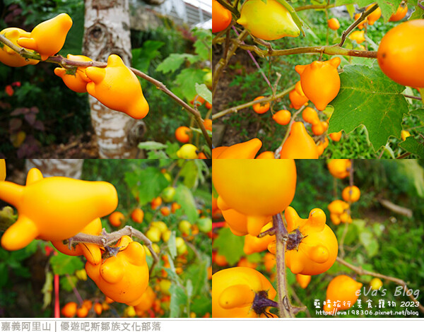 優遊吧斯鄒族文化部落-76.jpg 優遊吧斯鄒族文化部落-76.jpg