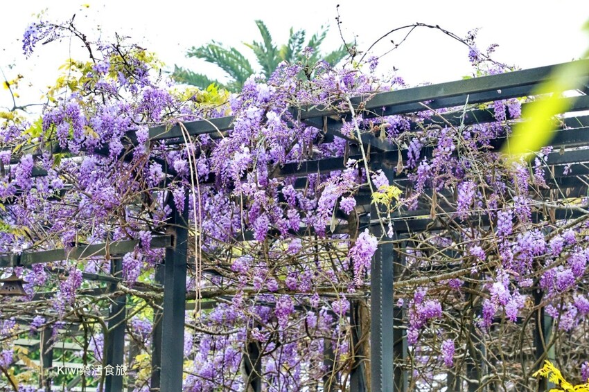 嘉義縣梅山鄉瑞里美食茶壺餐廳民宿｜嘉義瑞里茶壺特色料理合菜，超人氣媽媽手路菜～請事先預約餐點
