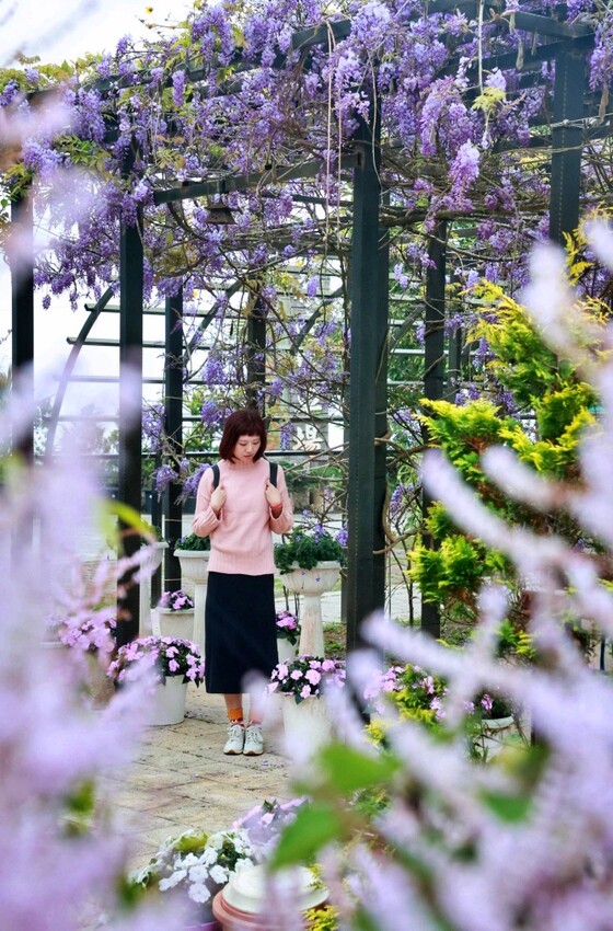 嘉義縣梅山鄉瑞里美食茶壺餐廳民宿｜嘉義瑞里茶壺特色料理合菜，超人氣媽媽手路菜～請事先預約餐點