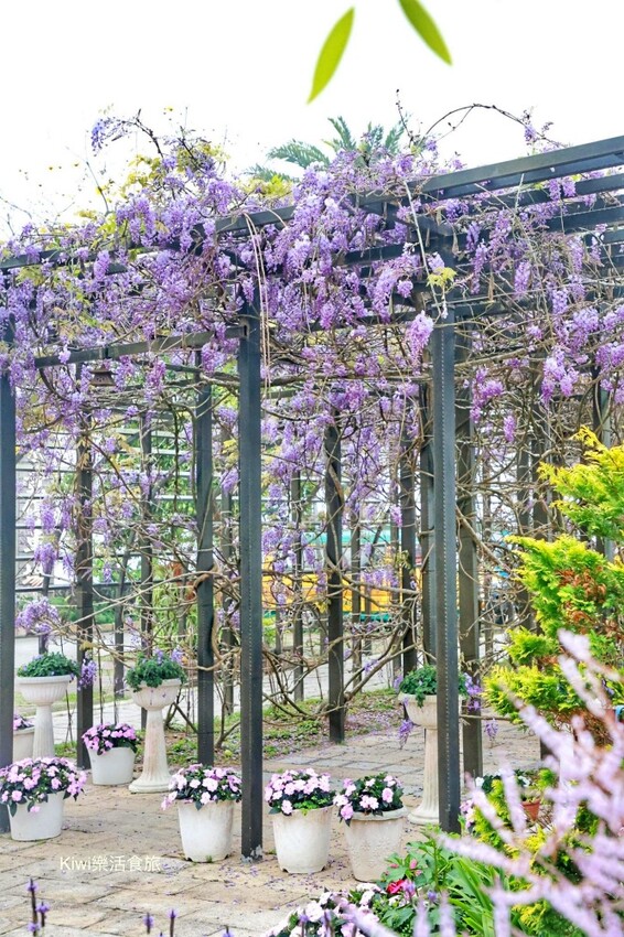 嘉義縣梅山鄉瑞里美食茶壺餐廳民宿｜嘉義瑞里茶壺特色料理合菜，超人氣媽媽手路菜～請事先預約餐點