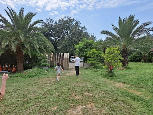 2021 8 桃園新屋綠色隧道 (75).jpg - 桃園新屋綠色隧道+永安漁港+三號咖啡