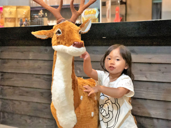 ●嘉義食記●加勒比海複合式餐廳/平價冰品的清涼享受/美式熱帶氛圍