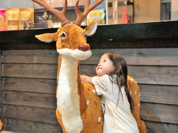 ●嘉義食記●加勒比海複合式餐廳/平價冰品的清涼享受/美式熱帶氛圍