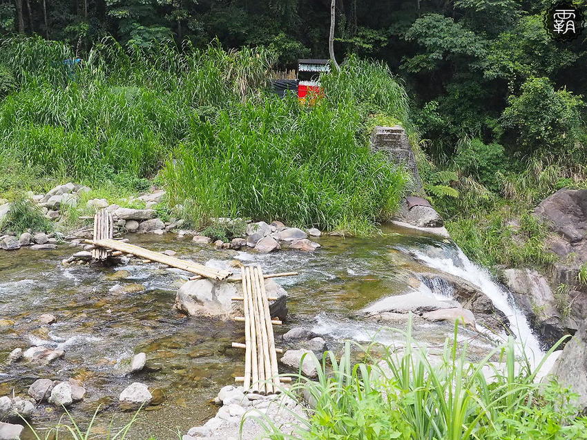 夏天谷關真有趣！谷關漫遊看神木、走步道、漫畫嘉年華，原鄉體驗，還有免費美食請你吃！