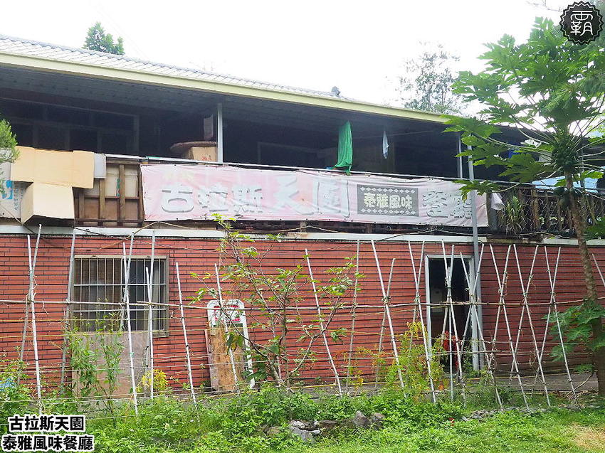 夏天谷關真有趣！谷關漫遊看神木、走步道、漫畫嘉年華，原鄉體驗，還有免費美食請你吃！