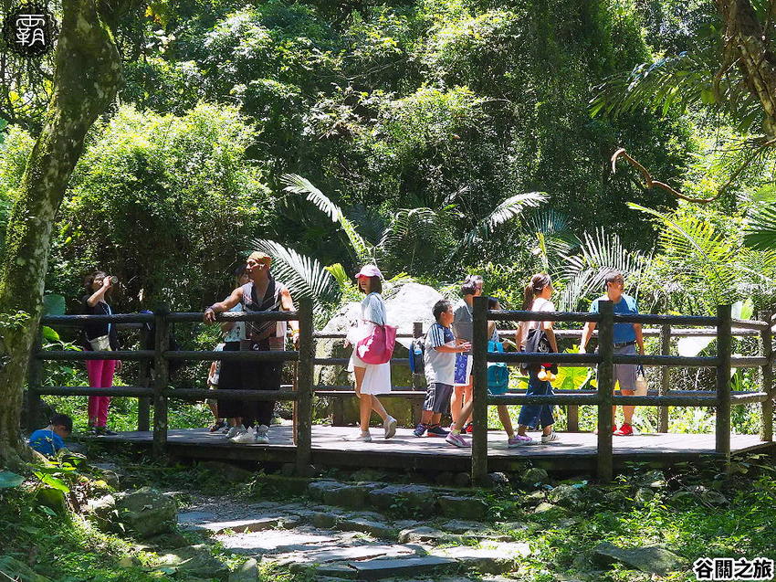 夏天谷關真有趣！谷關漫遊看神木、走步道、漫畫嘉年華，原鄉體驗，還有免費美食請你吃！