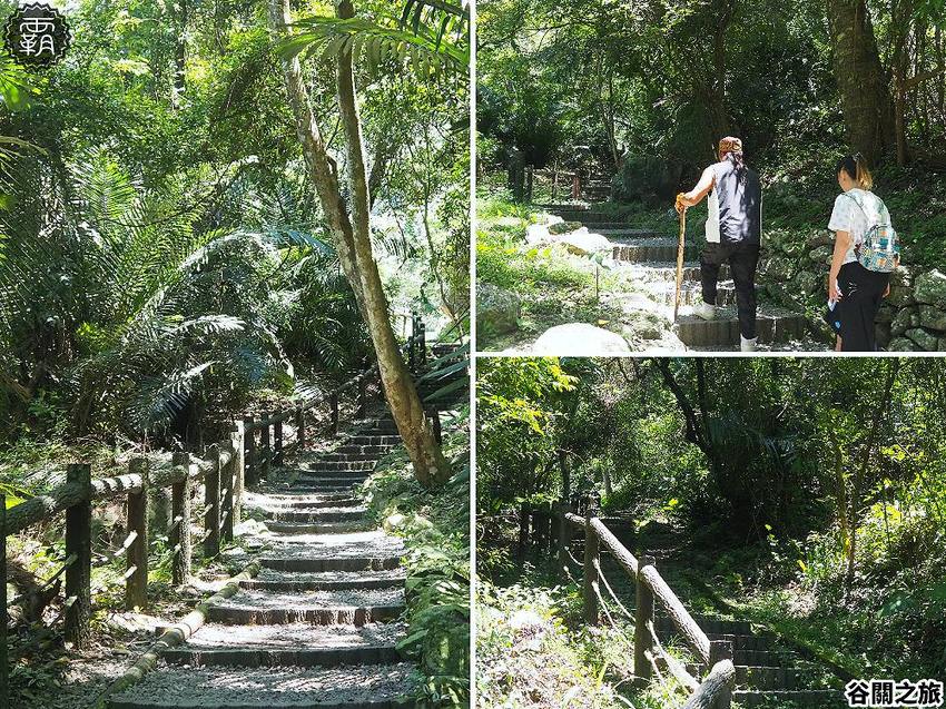 夏天谷關真有趣！谷關漫遊看神木、走步道、漫畫嘉年華，原鄉體驗，還有免費美食請你吃！