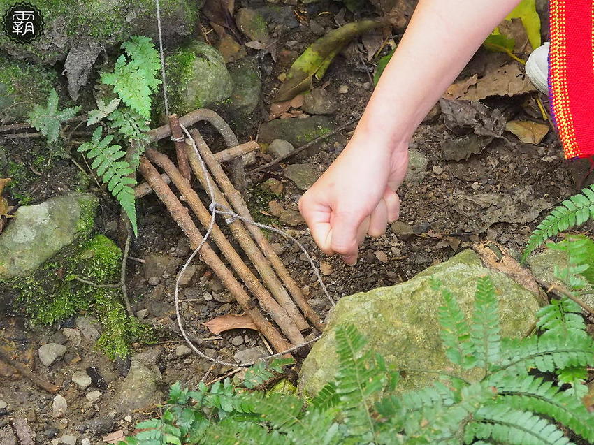 夏天谷關真有趣！谷關漫遊看神木、走步道、漫畫嘉年華，原鄉體驗，還有免費美食請你吃！