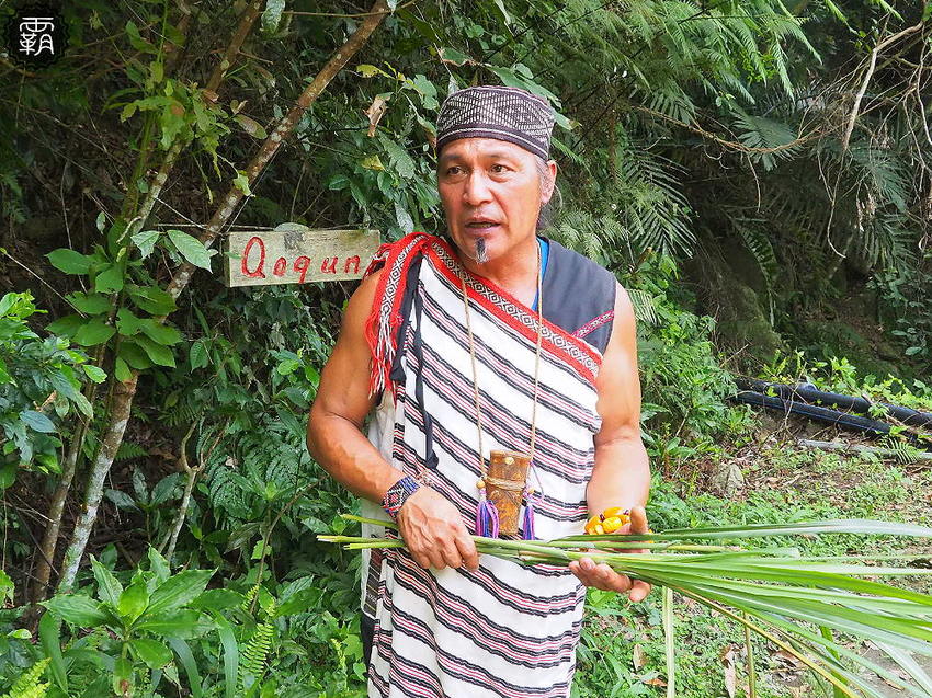 夏天谷關真有趣！谷關漫遊看神木、走步道、漫畫嘉年華，原鄉體驗，還有免費美食請你吃！