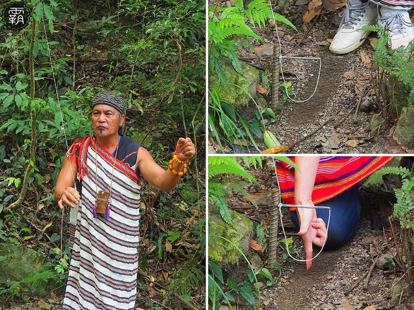 夏天谷關真有趣！谷關漫遊看神木、走步道、漫畫嘉年華，原鄉體驗，還有免費美食請你吃！